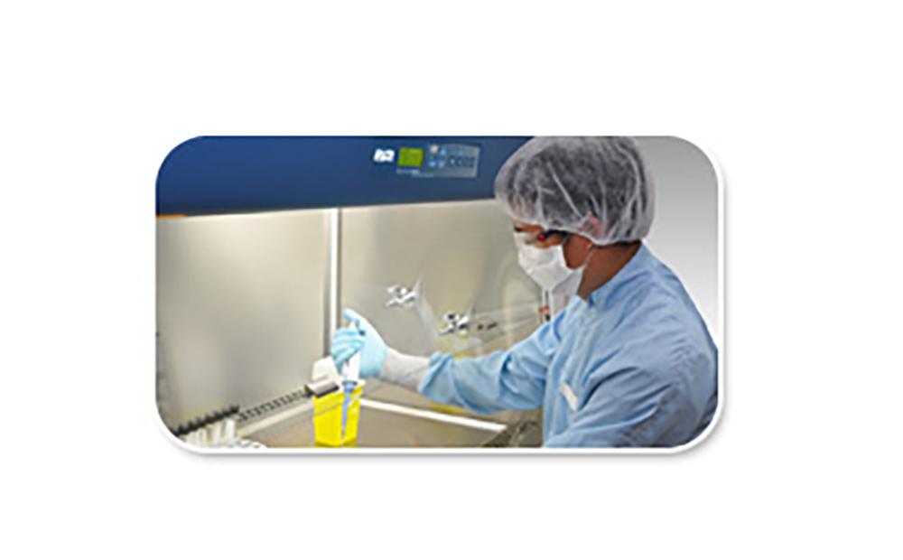 微生物检验过程